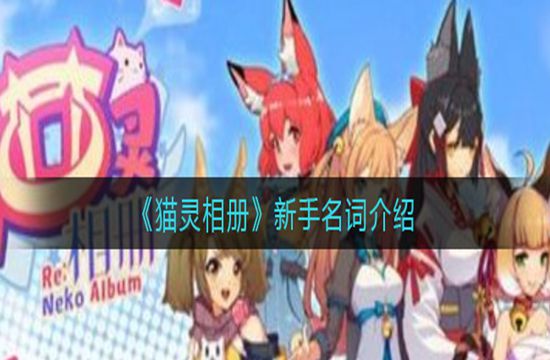 《猫灵相册》新手名词介绍(图1)