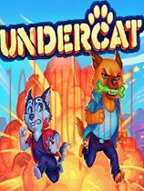 Undercatv0.9.8.4