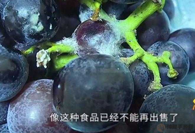 葡萄不准掉出且晚上检查相关事宜