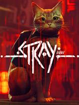 迷失Stray