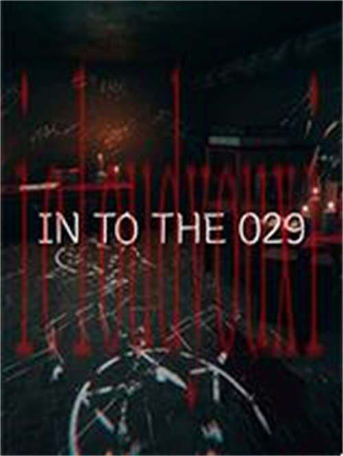 进入029