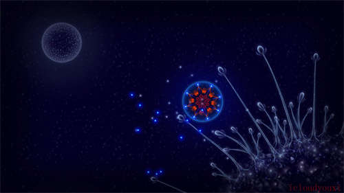 微生物世界：细胞生存中文截图1