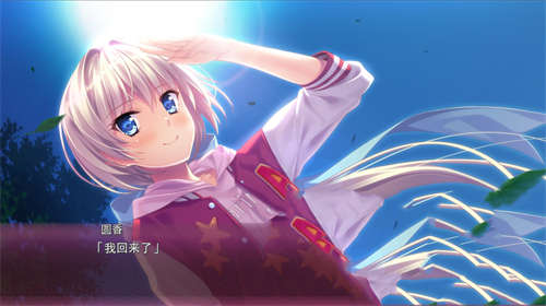 樱之杜†净梦者2截图2