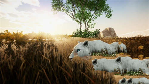 Animallica截图4