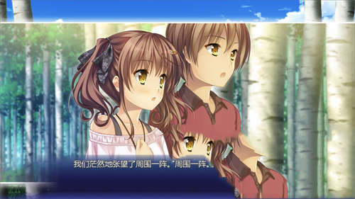追忆夏色年华截图2