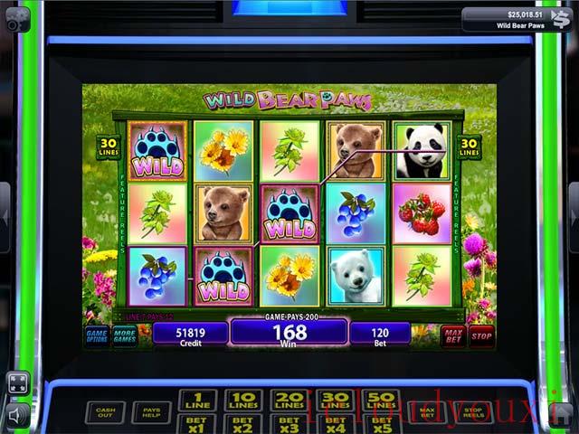 IGT游戏机：熊爪截图4