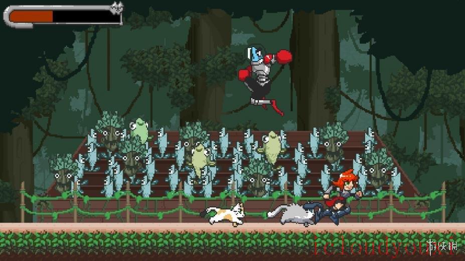 上吧猫咪们截图4