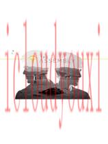 议会