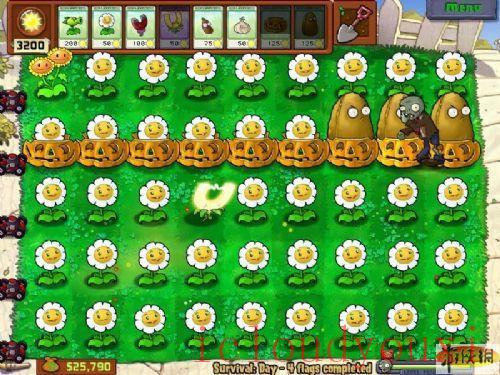 植物大战僵尸年度版免DVD光盘版截图1
