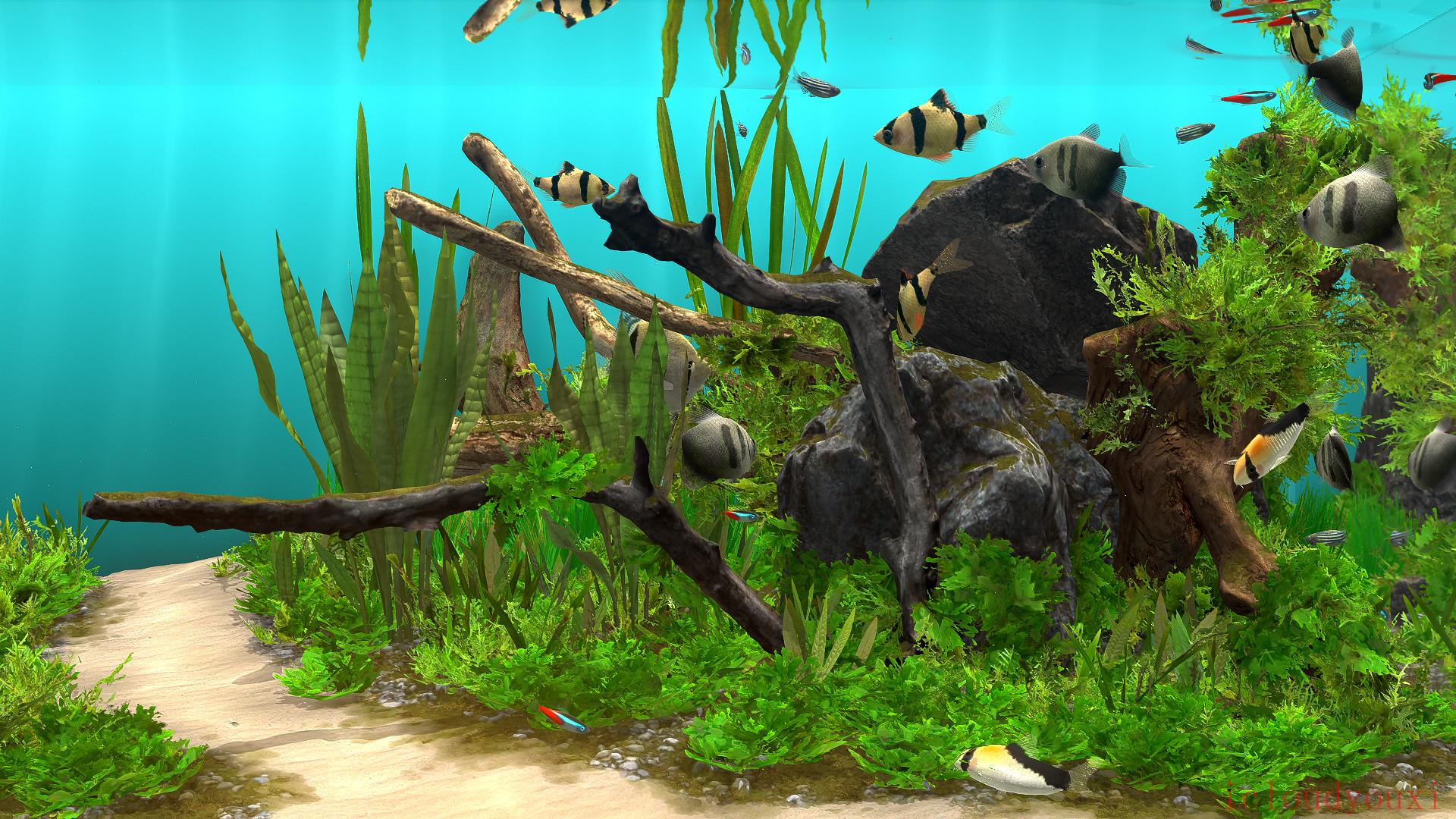 玻璃背后：水族箱模拟器截图2