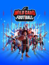 WildCardFootball
