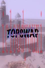 Topswap