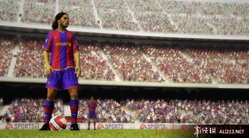 FIFA世界足球2009中文截图1