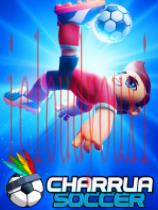 CharruaSoccer