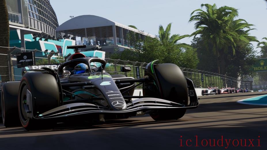 F12023官方中文版截图4