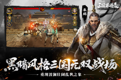 三国诛将录截图4