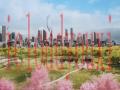 城市：天际线2截图4