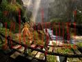 龙骑士截图4