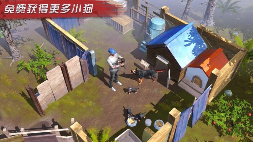 征战黎明截图1