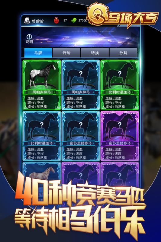 马场大亨截图4