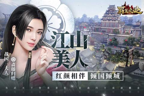 三国群英传：霸王之业截图1