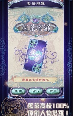 蓝茶塔罗截图2
