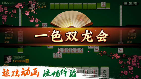 欢乐麻将截图2