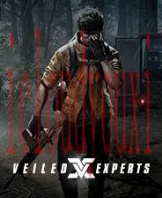 VEILEDEXPERTS