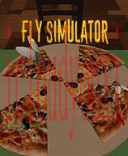 FlySimulator