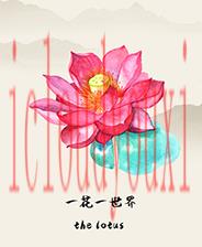 一花一世界