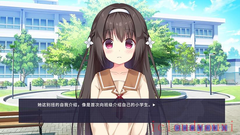 昙花截图1