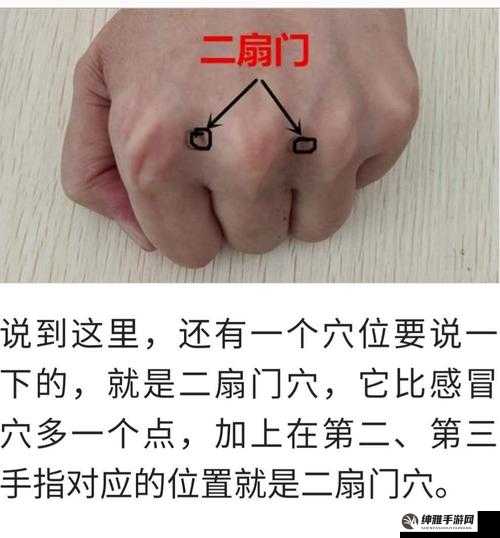 顺口溜:大腿中间两扇门,两扇门里一窟窿