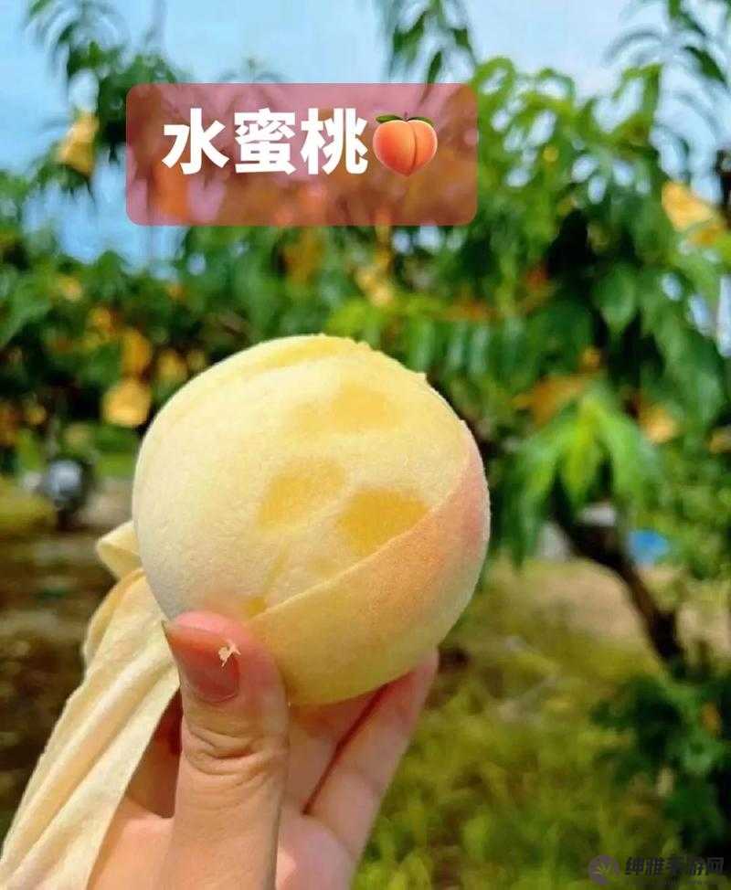 挥舞水蜜桃和水蜜桃V2:一场甜蜜的冒险(图1)